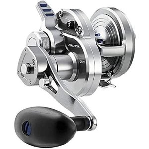 画像: ダイワ ソルティガ DAIWA SALTIGA LD35-2SPEED SAGLD35-2SPD