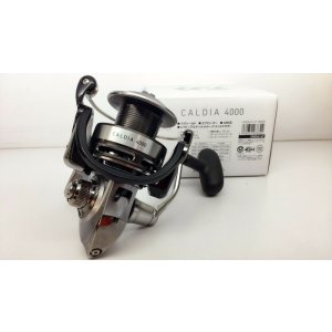 画像: ダイワ DAIWA CALDIA 4000