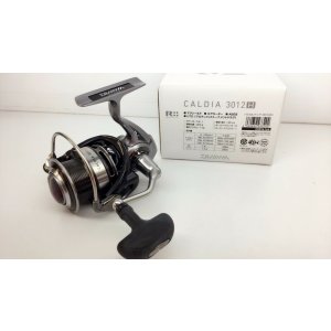 画像: ダイワ DAIWA CALDIA 3012H
